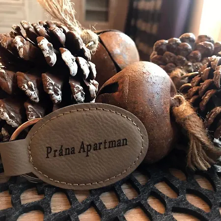 Apartment Prana Herend
