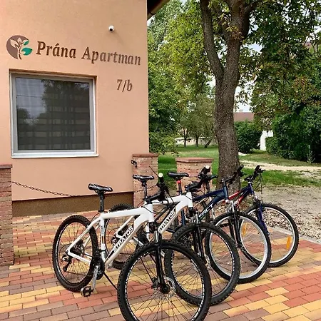 Prana Apartment